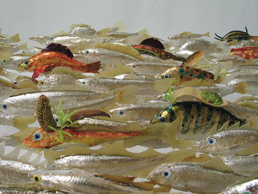 museo-di-storia-innaturale-sala-xiii-pesci-e-anfibi-06-900px